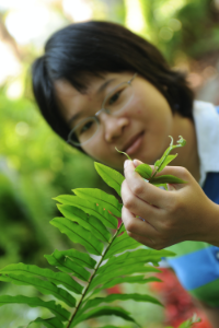 环境科学学士