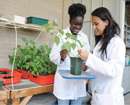 Two students exaining a plant